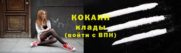 тгк Медногорск