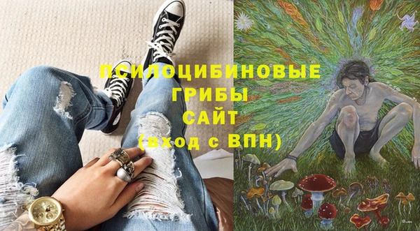 гидропоника Новокубанск