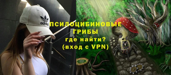 марки lsd Новозыбков