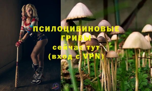 каннабис Нязепетровск